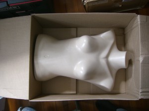Plastic female mannequin torso in a cardboard box